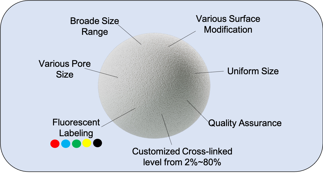 Advantages of Echo Bio Polystyrene particles