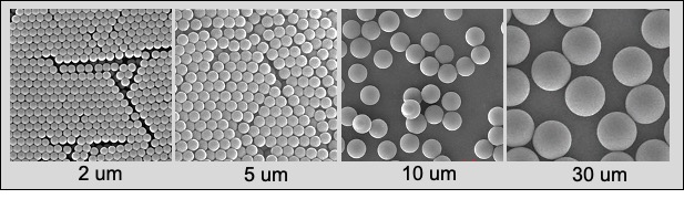 PS particles with different size 