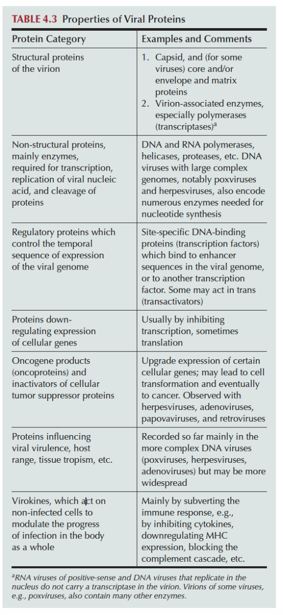 Property_of_Viral_Protein