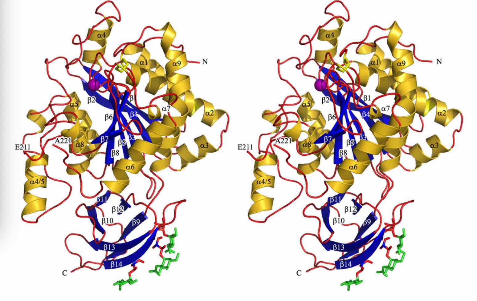 Structure_of_CPN1