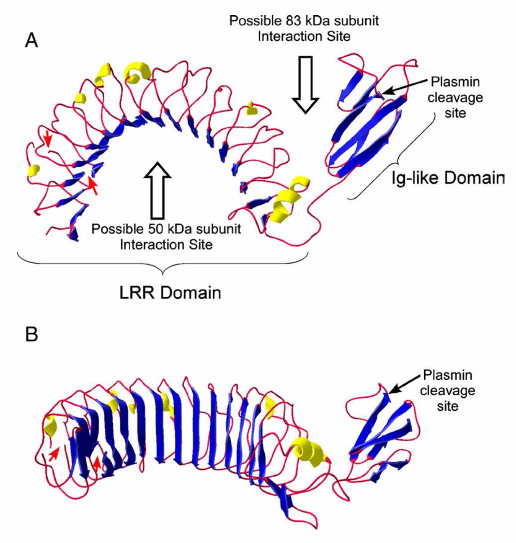 Structure_of_CPN2